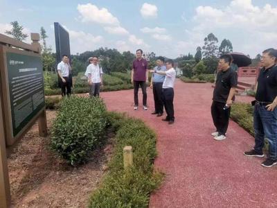 四川省科技與藝術融合發展促進會三茶統籌譜新篇 赴省茶業集團構畫文化科技賦能新圖景